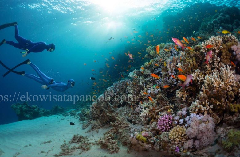 https://ekowisatapancoh.com/